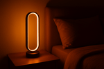 Load image into Gallery viewer, Dimming LED Lamp - EcoSpark Innovations