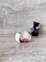 Load image into Gallery viewer, Infinite Lint Roller.