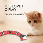 Load image into Gallery viewer, Smart Sensing Snake Toy.