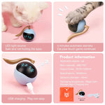 Load image into Gallery viewer, Kitten Electronic Ball - EcoSpark Innovations
