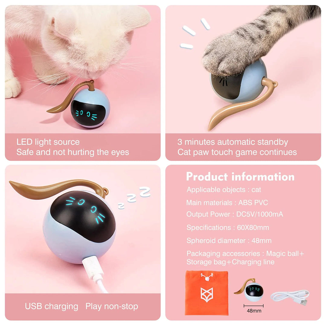 Kitten Electronic Ball - EcoSpark Innovations