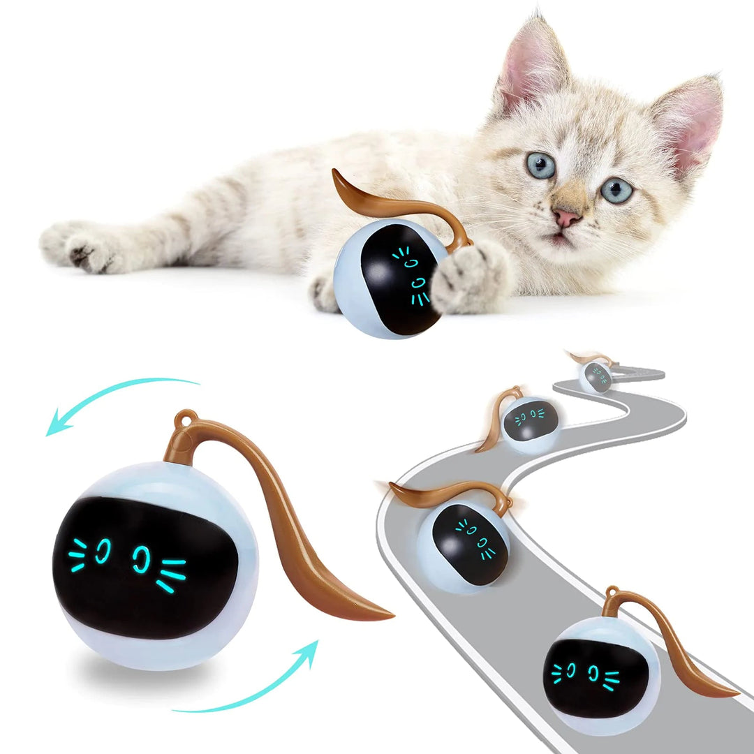 Kitten Electronic Ball - EcoSpark Innovations