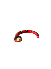 Smart Sensing Snake Toy.